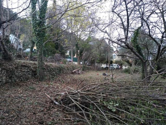 Saint Savournin Vente Terrain 13