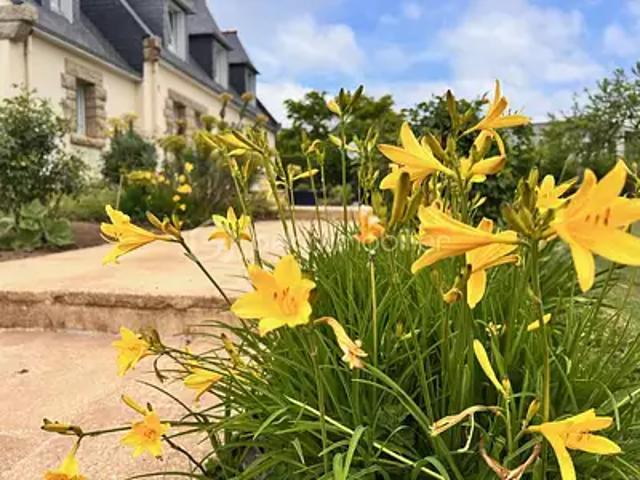 Saint Ségal 29590 Achat / Vente maison 6 pièces t6 terrasse
