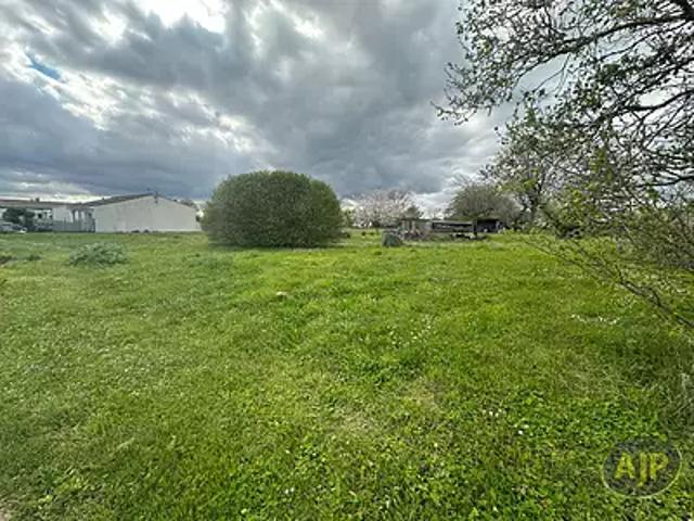 Saint Seurin de Palenne 17800 Achat / Vente terrain