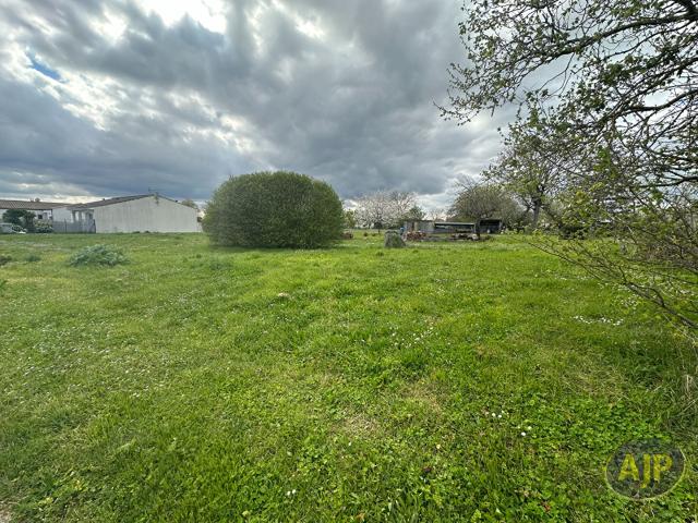 Saint Seurin de Palenne Vente Terrain 17