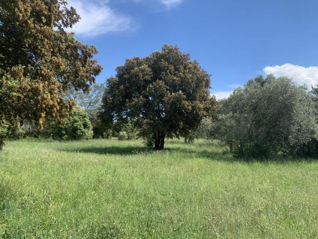 SAINT SIFFRET TERRAIN 300 M²