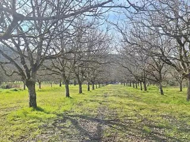Saint Sozy 46200 Achat / Vente terrain