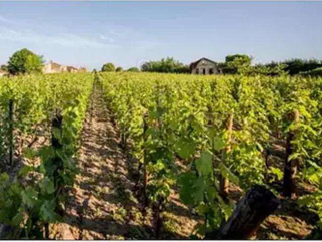 Saint Sulpice de Faleyrens 33330 Achat / Vente terrain