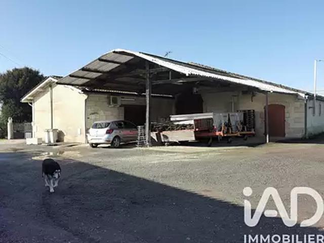 Saint Sulpice de Faleyrens 33330 Achat / Vente maison 8 pièces t8