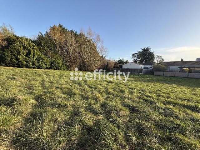 Saint Sulpice de Royan Vente Terrain 17