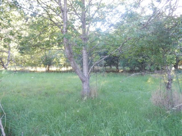 SAINT SYMPHORIEN DE MARMAGNE Terrain constructible de 1173 m²
