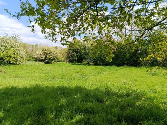 Saint Symphorien Vente Terrain 27