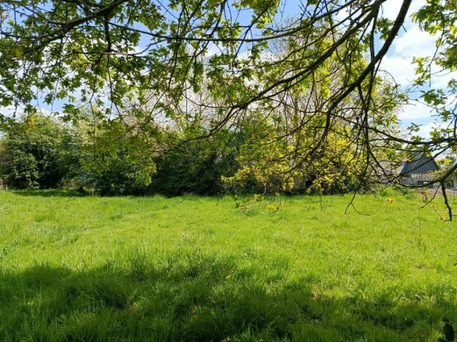 Saint Symphorien Vente Terrain 27