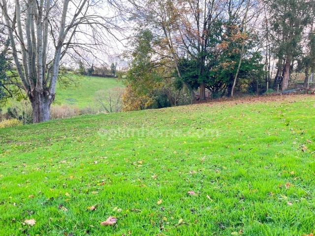Saint Symphorien Vente Terrain 27