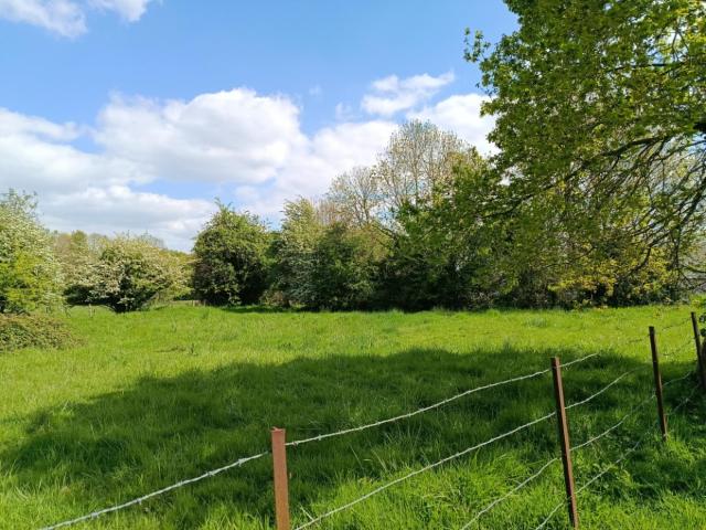 Saint Symphorien Vente Terrain 27