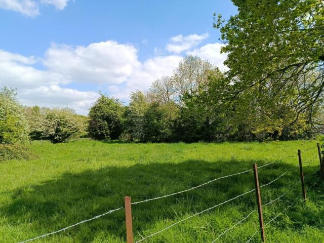 Saint Symphorien Vente Terrain 27