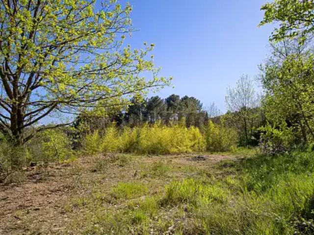 Sainte Cécile d'Andorge 30110 Achat / Vente terrain