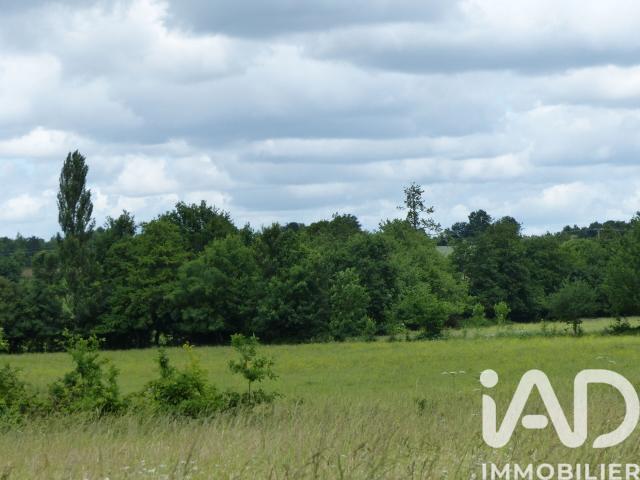 Sainte Cécile Vente Terrain 85