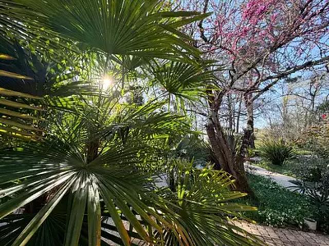 Sainte Christie d'Armagnac 32370 Achat / Vente maison 8 pièces t8 piscine jardin