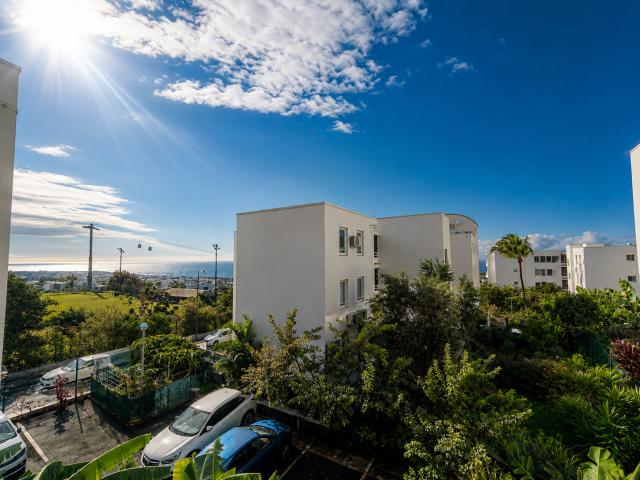 Sainte Clotilde Vente Appartement 97