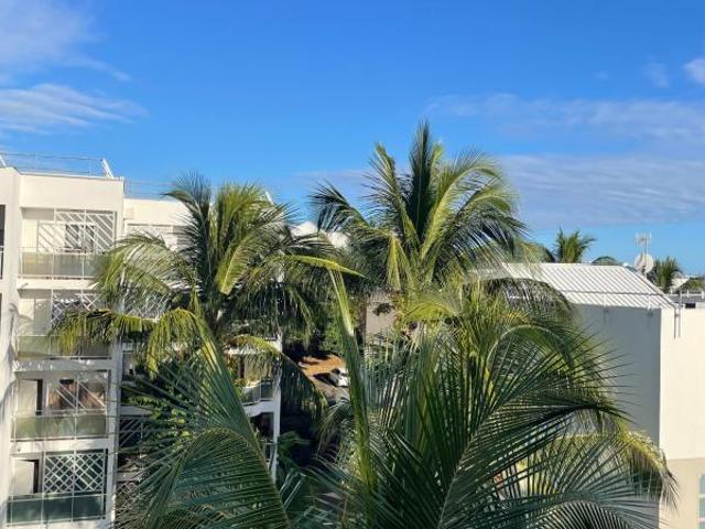 Sainte Clotilde Vente Appartement 97