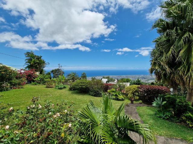 Sainte Clotilde Vente Maison 97