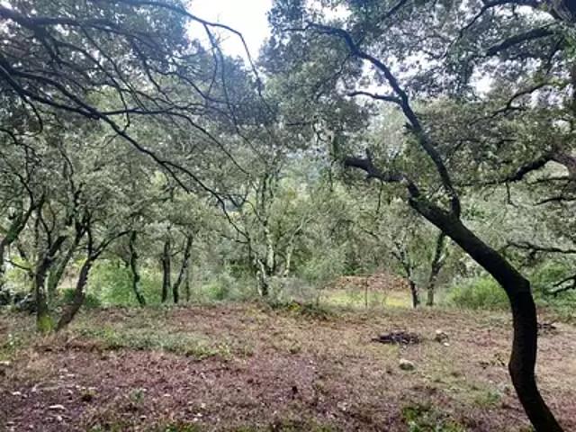 Sainte Anastasie sur Issole 83136 Programme neuf terrain neuf à vendre