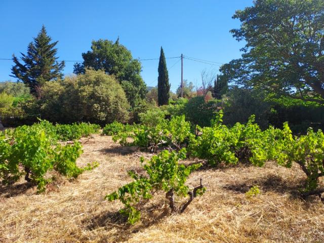 Sainte Anastasie sur Issole Vente Terrain 83