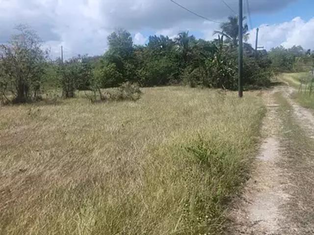 Sainte Anne 97180 Achat / Vente terrain