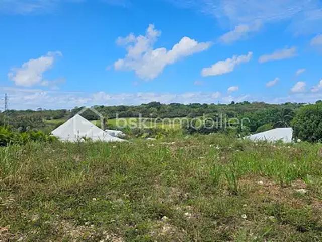 Sainte Anne 97180 Achat / Vente terrain
