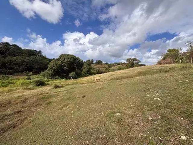 Sainte Anne 97180 Achat / Vente terrain