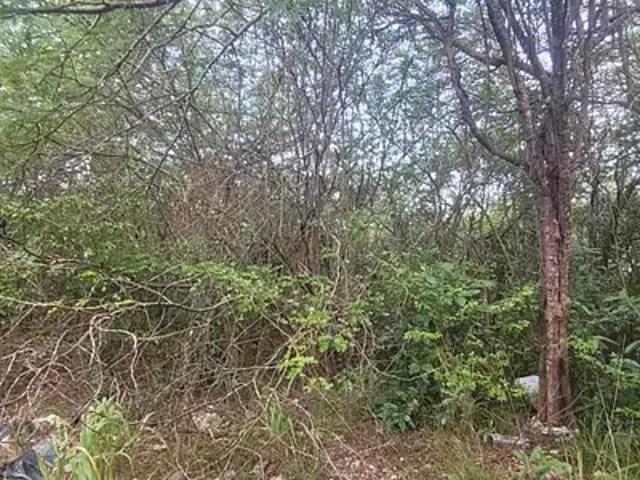 Sainte Anne 97180 Achat / Vente terrain