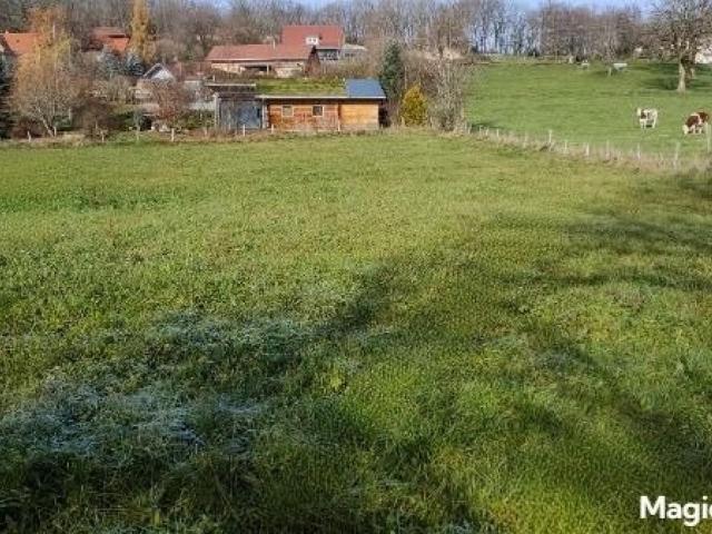 Sainte Anne Vente Terrain 25