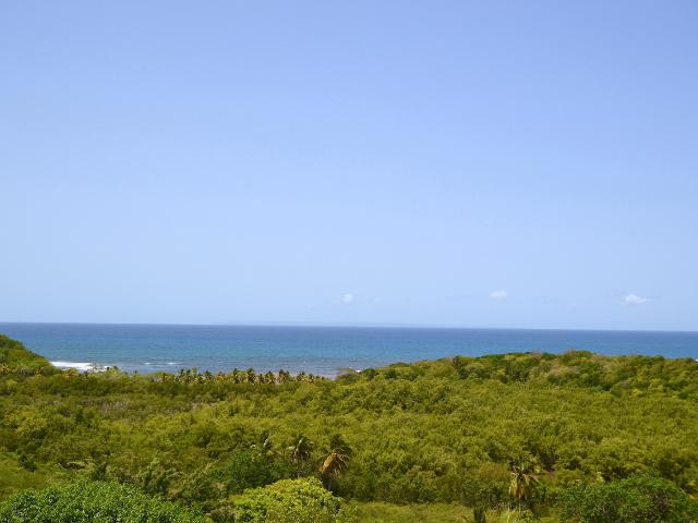 Sainte Anne Vente Terrain 97