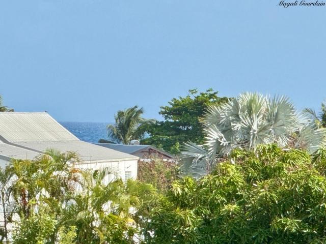 Sainte Anne Vente Maison 97