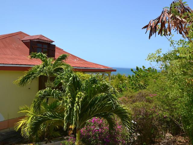 Sainte Anne Vente Maison 97
