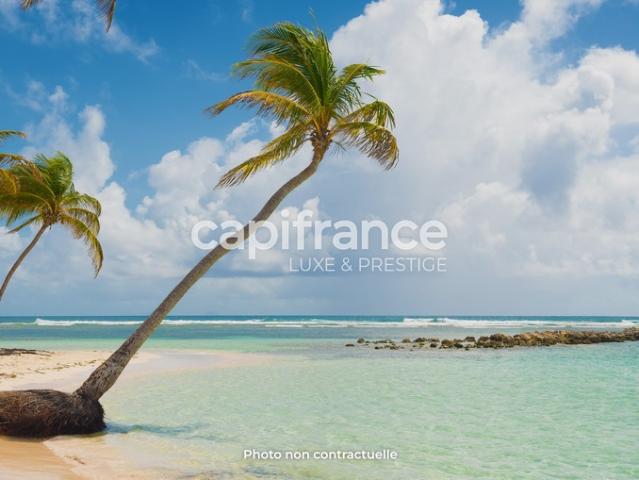 Sainte Anne Vente Maison 97