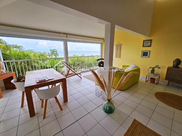Sainte Anne Vente Propriété/château 97
