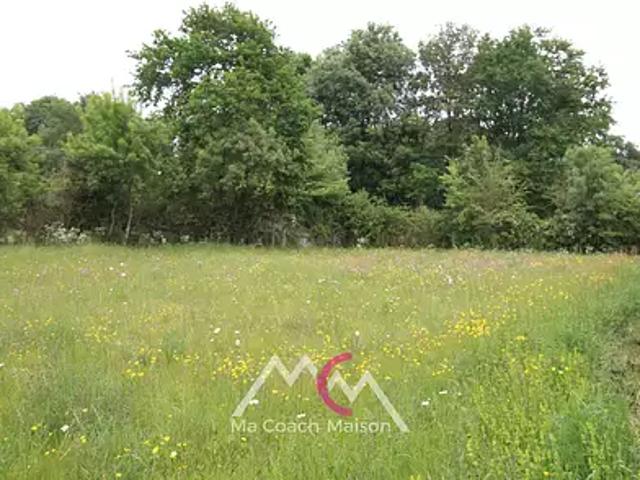 Sainte Anne sur Brivet 44160 Achat / Vente terrain