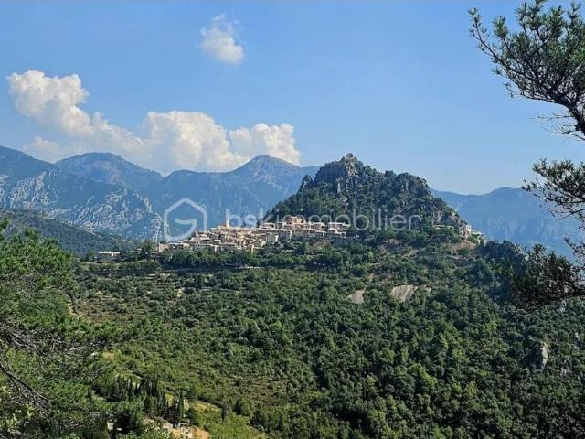 Menton Vente Immeuble 06