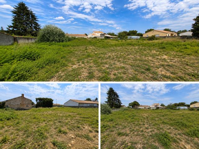 Sainte Gemme la Plaine Vente Terrain 85
