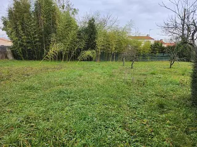 Sainte Gemme la Plaine 85400 Achat / Vente terrain