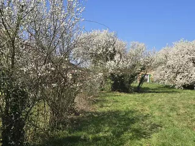 Sainte Euphémie 01600 Achat / Vente terrain