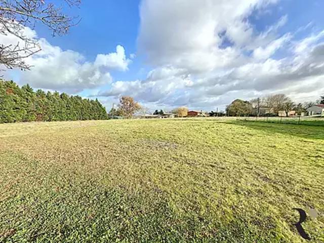 Sainte Foy d'Aigrefeuille 31570 Achat / Vente terrain