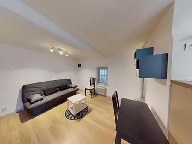 Sainte Foy lès Lyon 69110 Location appartement 1 pièce t1 cave