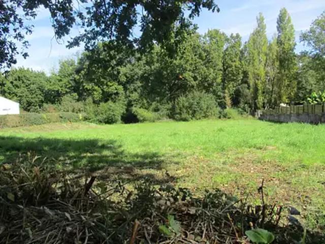 Sainte Foy 85150 Achat / Vente terrain