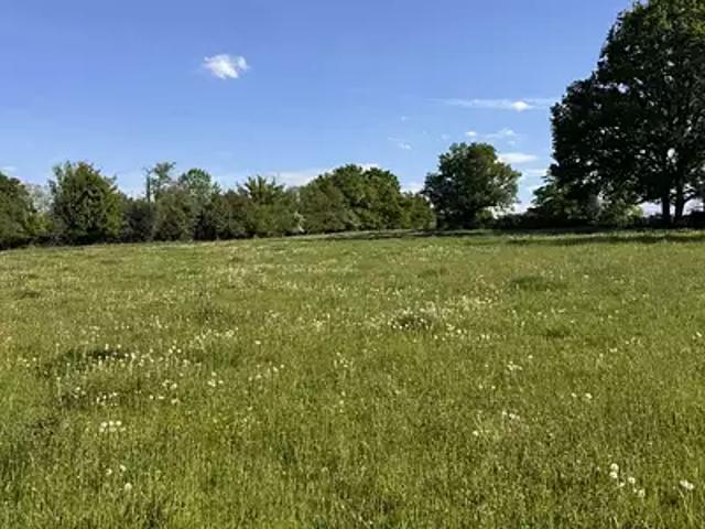 Sainte Feyre 23000 Achat / Vente terrain