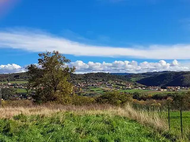 Sainte Florine 43250 Achat / Vente terrain