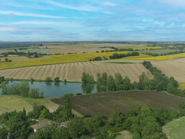 Sainte Livrade Vente Terrain 31