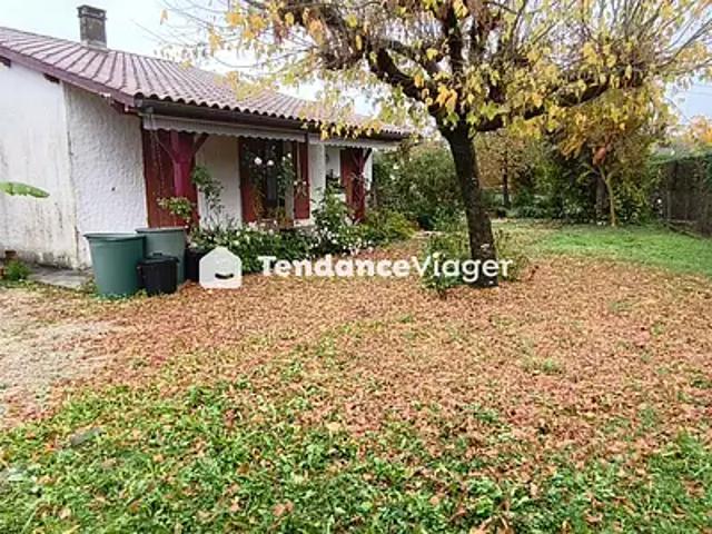 Sainte Livrade sur Lot 47110 Achat / Vente divers 4 pièces