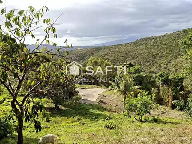 Sainte Luce 97228 Achat / Vente terrain