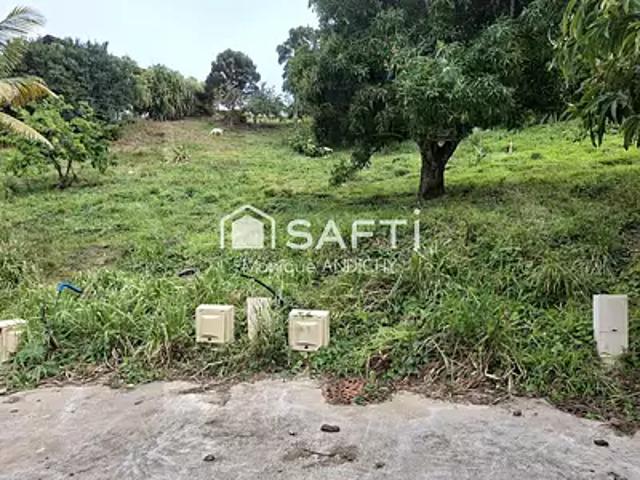 Sainte Luce 97228 Achat / Vente terrain