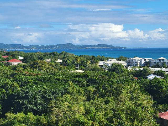 Sainte Luce Vente Appartement 97