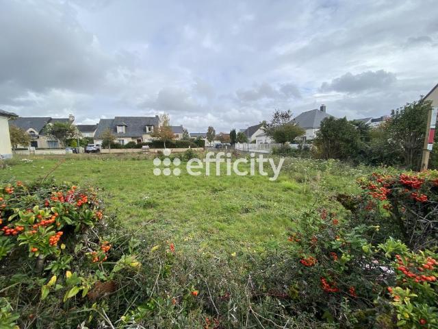 Sainte Luce sur Loire Vente Terrain 44