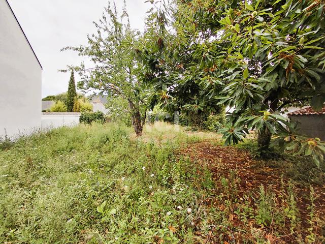 Sainte Luce sur Loire Vente Terrain 44